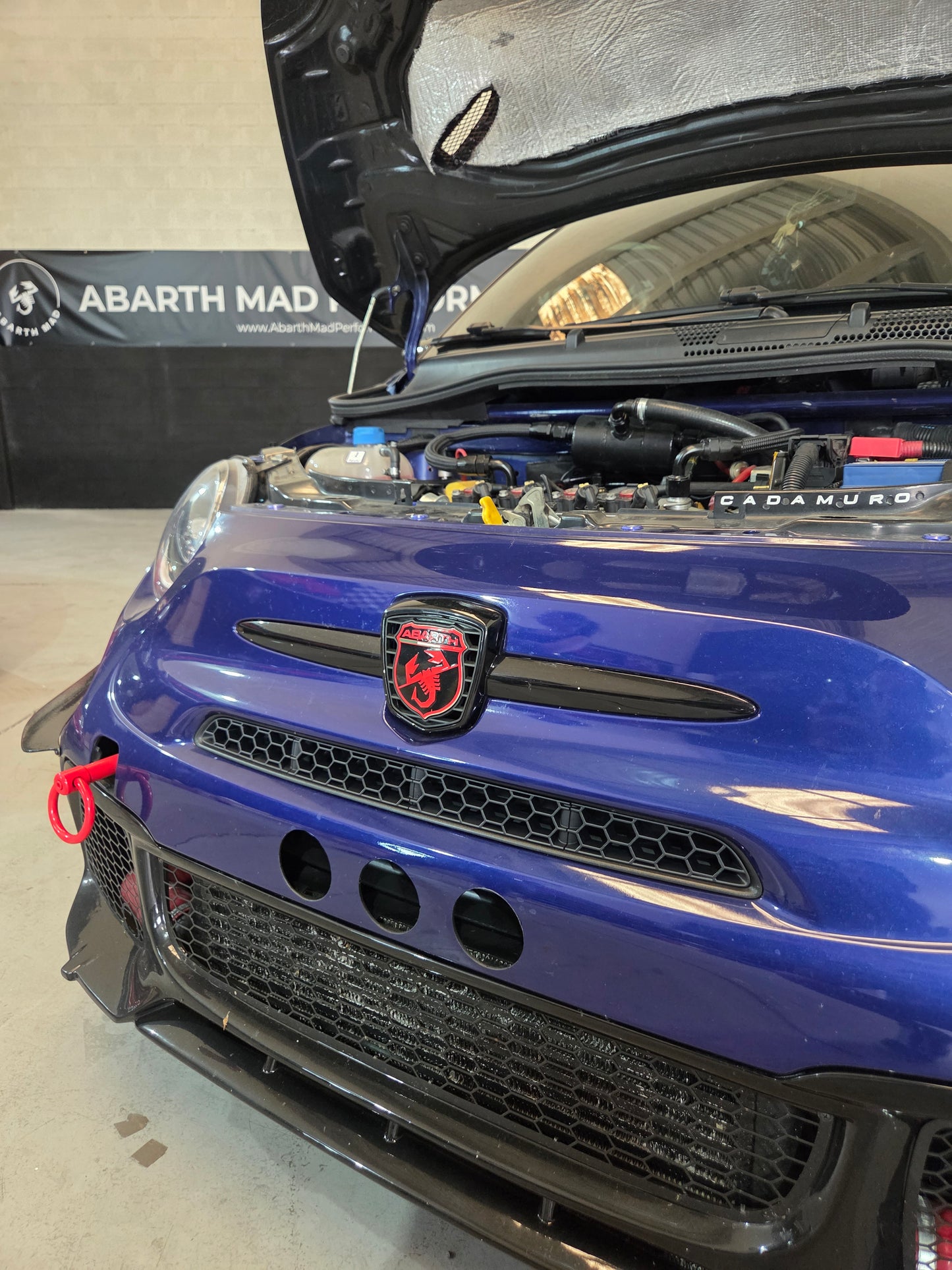 Abarth 2016+ Restyling 3D Grille Panel Abeja Entrada Aire Paragolpes Rejilla