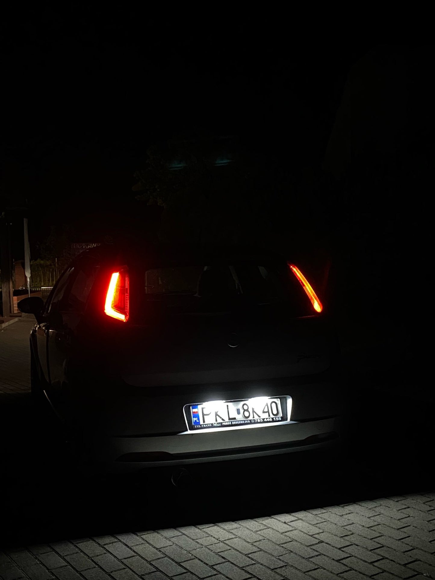 Abarth GPA Fiat Punto Evo Brava Bravo Croma Doblo Matea Led (2) Plafon Luz Matricula License Plate Set
