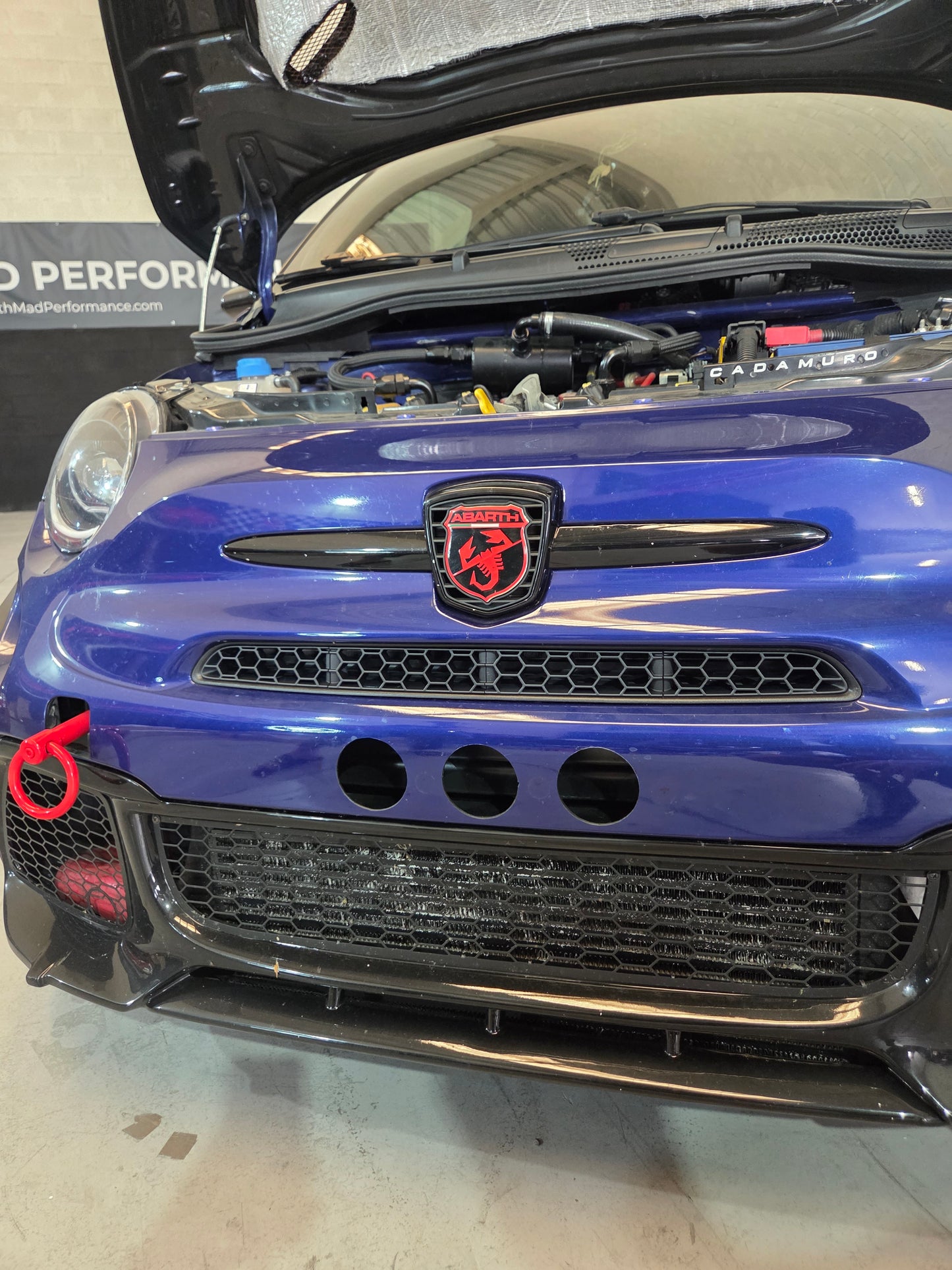 Abarth 2016+ Restyling 3D Grille Panel Abeja Entrada Aire Paragolpes Rejilla