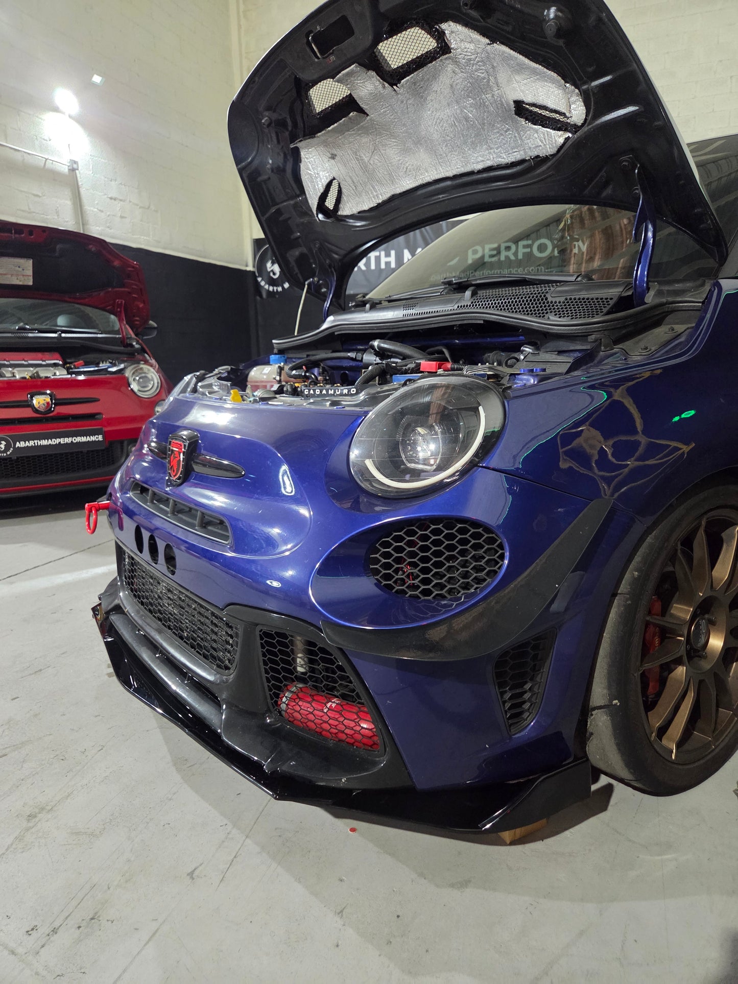 Canards Fenders Bumpers