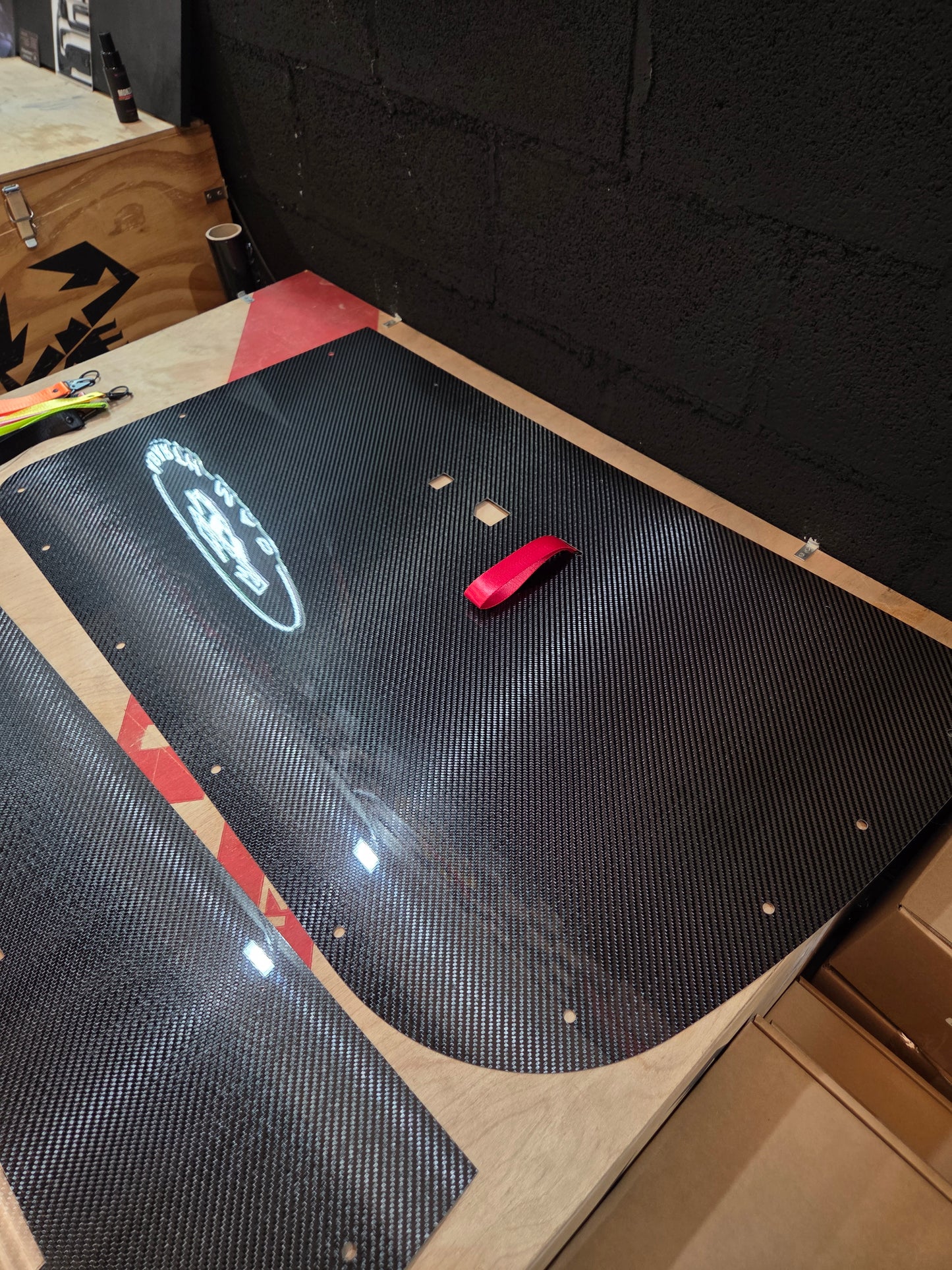New!! Abarth 500 Fiat Carbon Fiber Door Panel (2) Puertas Paneles tipo Biposto
