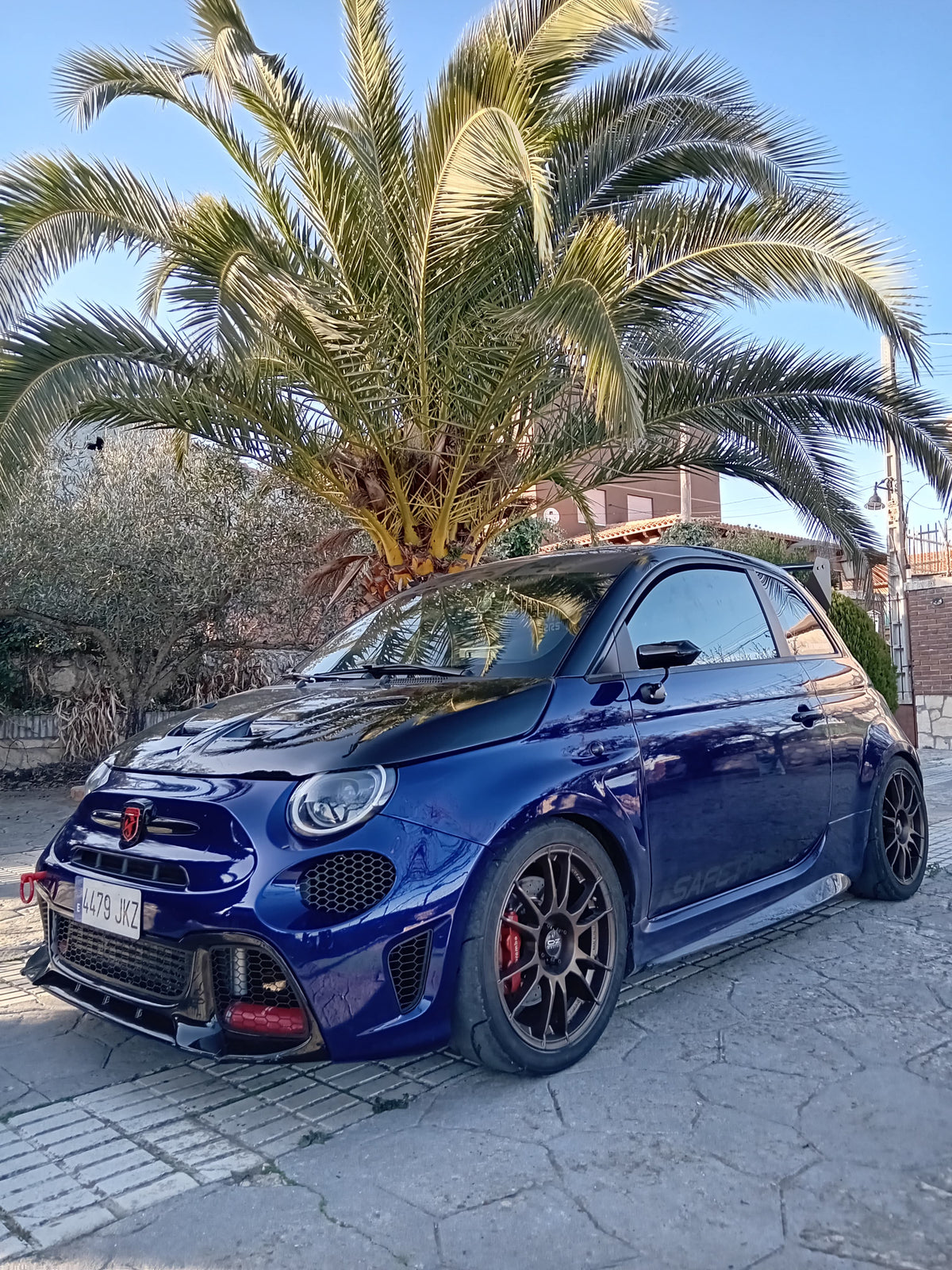 Abarth 500 All Model Side Skirts (2) Extended 2.0 Biposto Style Racing Taloneras Minigonne