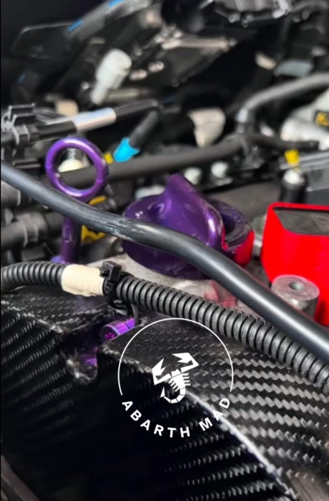 Exclusive!! Abarth 500/595/595 Tjet Carbon Fiber Timing Distribución Replacement (not cover)