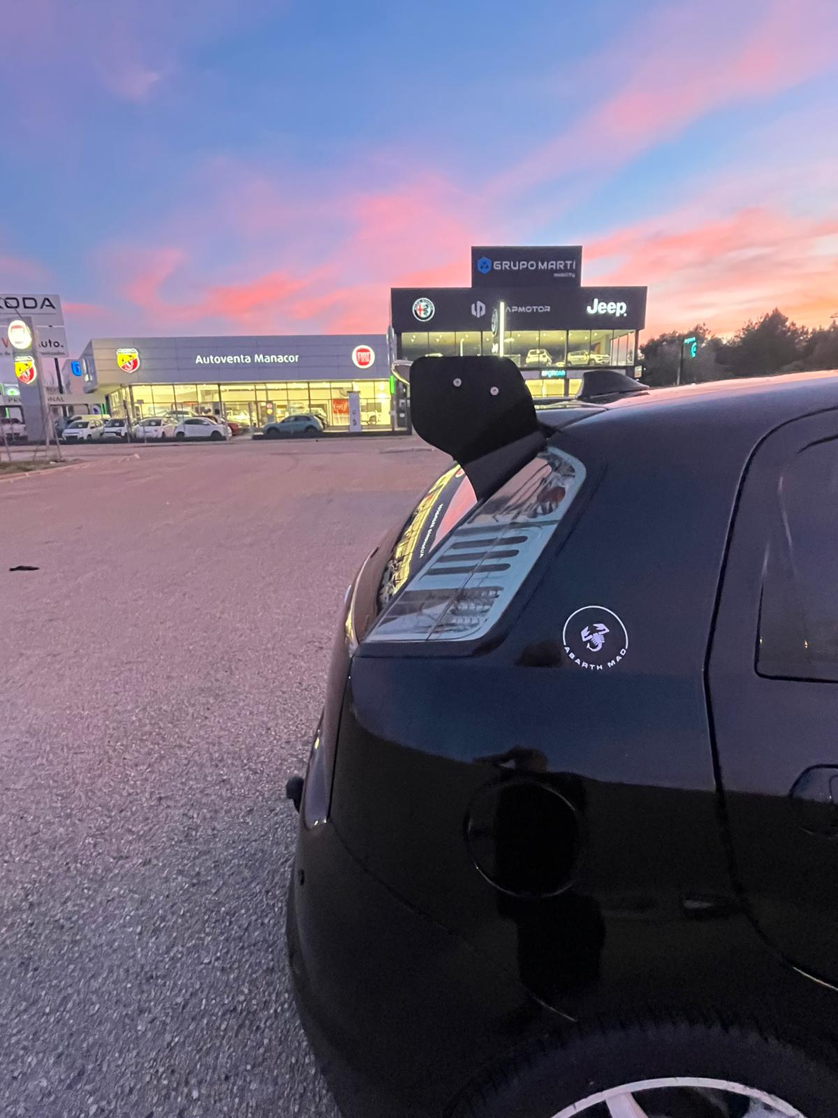 Abarth Fiat GPA Evo Punto Spoiler Alerón Trackaero